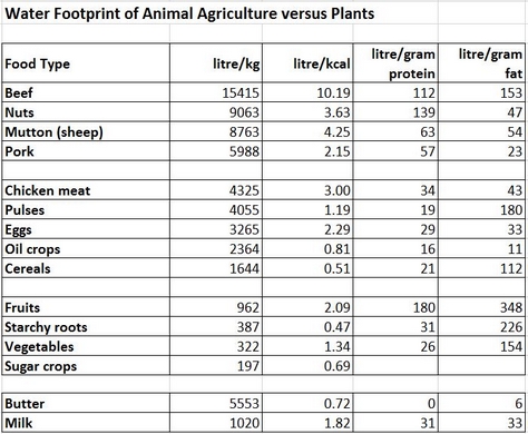 Water Use in Animal Agriculture versus Plants